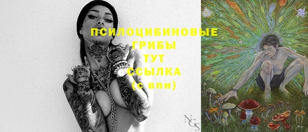 дурь Алексин