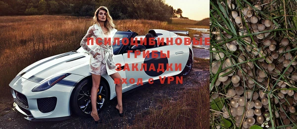 дурь Алексин