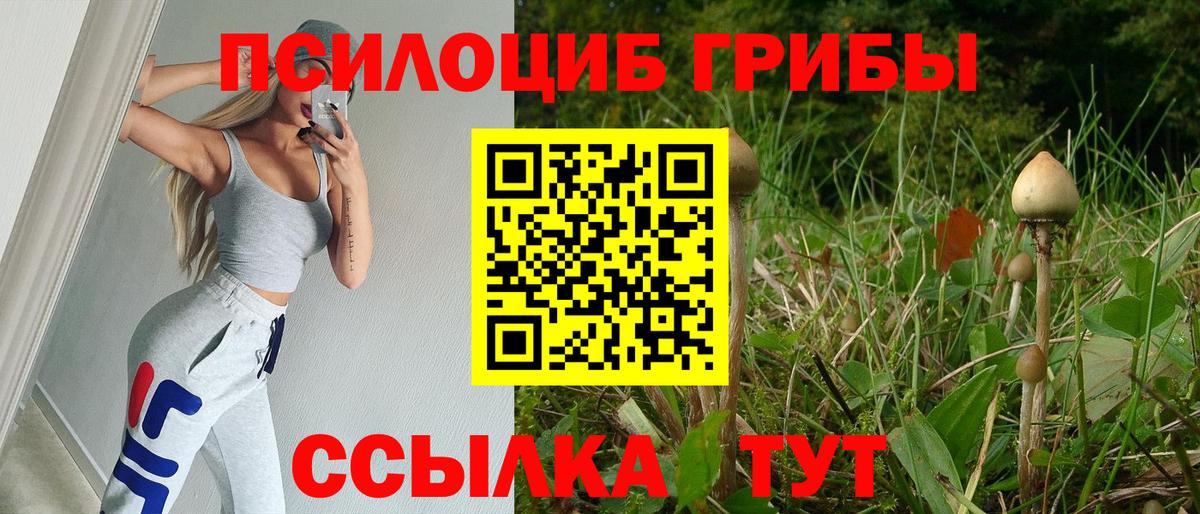 Псилоцибиновые грибы мицелий Черкесск