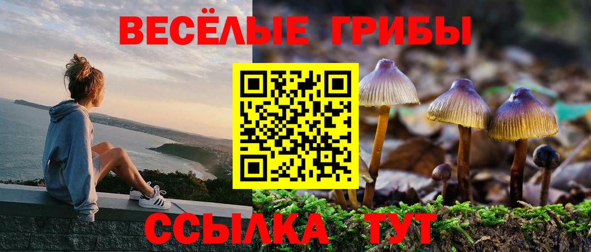 Черкесск  Псилоцибиновые грибы Cubensis  Вход с VPN 