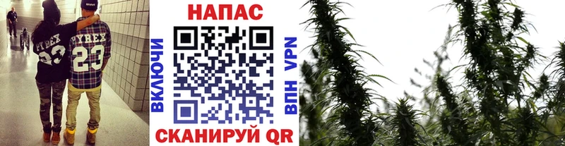 дарк нет как зайти  Черкесск  Шишки марихуана ГИДРОПОН  OMG как войти 