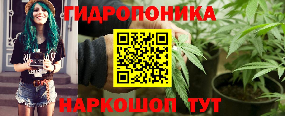 Бошки марихуана гибрид  Марихуана индика  Черкесск  МАРИХУАНА марихуана  Вход с VPN  Канабис план 